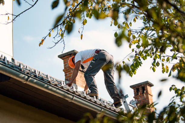 Best Roofing Contractor Near Me  in Croswell, MI