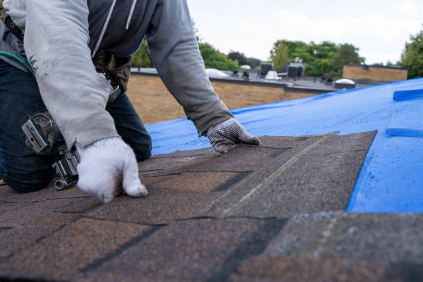Best Roof Gutter Cleaning  in Croswell, MI
