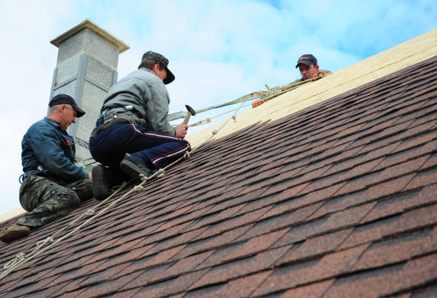 Best Local Roofing Companies  in Croswell, MI